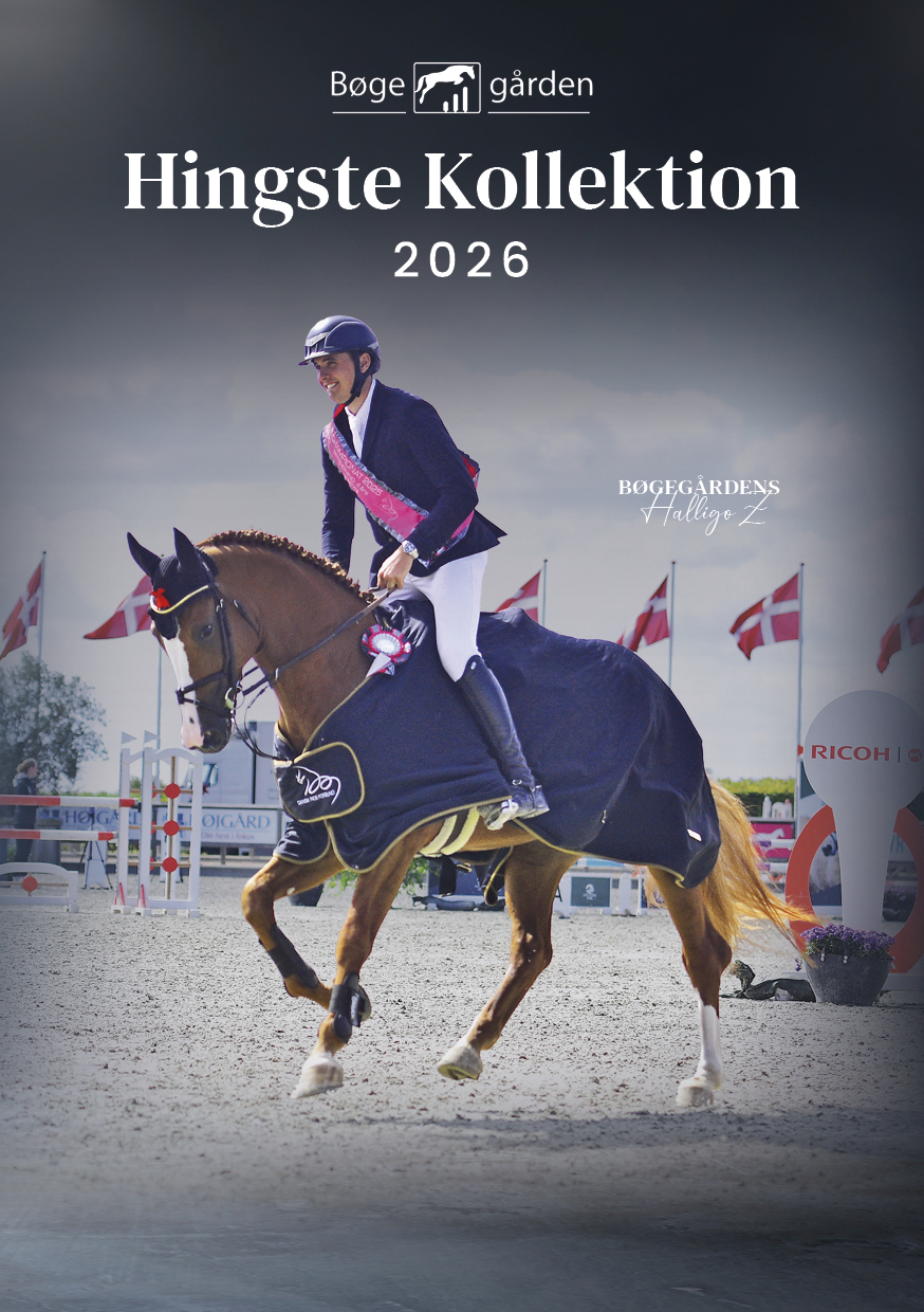 Hingstekatalog 2026_Forside.jpg